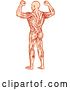Vector Clip Art of Retro Sketched or Engraved Rear View of a Flexing Guy with Visible Muscles by Patrimonio