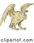 Vector Clip Art of Retro Sketched or Engraved Turkey Vulture Buzzard Condor Bird by Patrimonio