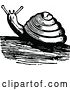 Vector Clip Art of Retro Snail by Prawny Vintage