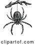 Vector Clip Art of Retro Spider Hanging from a Branch by Prawny Vintage