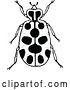 Vector Clip Art of Retro Spotted Beetle by Prawny Vintage