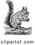 Vector Clip Art of Retro Squirrel Holding a Nut 2 by Prawny Vintage