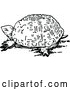 Vector Clip Art of Retro Tortoise by Prawny Vintage