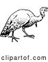 Vector Clip Art of Retro Turkey Bird by Prawny Vintage