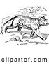 Vector Clip Art of Retro Walking Cougar by Prawny Vintage