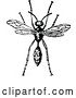 Vector Clip Art of Retro Wasp by Prawny Vintage