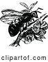 Vector Clip Art of Retro Wasp on a Branch by Prawny Vintage
