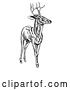Vector Clip Art of Retro Woodcut Deer Stag in by AtStockIllustration