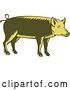 Vector Clip Art of Retro Woodcut Green and Yellow Pig in Profile by Patrimonio