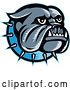 Vector Clip Art of Retro Woodcut Styled Bulldog Head with a Spiked Blue Collar by Patrimonio