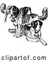Vector Clip Art of St Bernard Dogs by Prawny Vintage